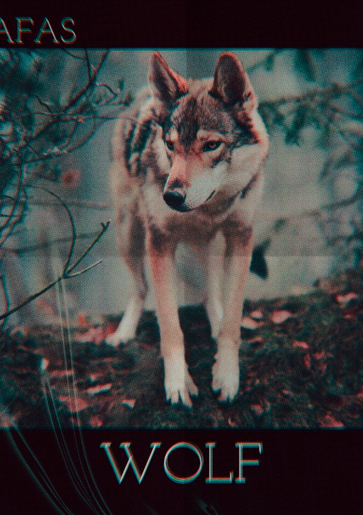 Trippy and Mysterious with an epic Hip-Hop vibe, AFAS is back with the hypnotising ‘Wolf’